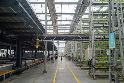 科技賦能山城新畫(huà)卷 重慶創(chuàng)新成果引領(lǐng)鄉(xiāng)村振興之路